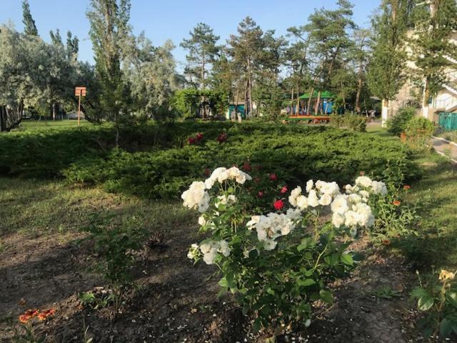 База Отдыха Наука Коблево Kobleve Exterior foto
